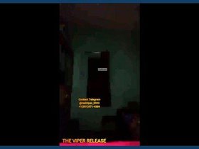 Shanaya Princess in action on Tango, March 25, 2021