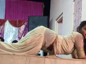 A charming Indian girl performs a sensual dance