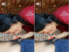 Bhabhi Gives a blowjob and gets laid